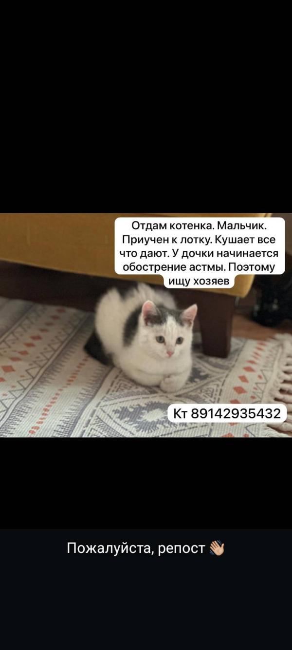 post image