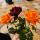 souz2401sozz