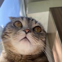 Марина