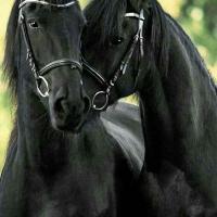 Fatima
