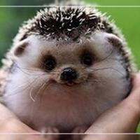 Катерина 
