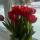 dashaa29