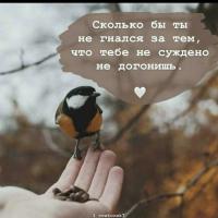 Тамара