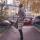 isdasha250889