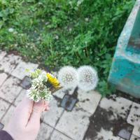 Саният