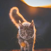 Виктория