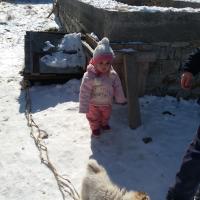 Роза