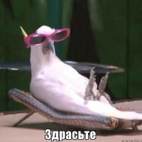 Зари