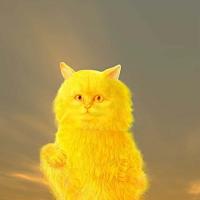 Meaw