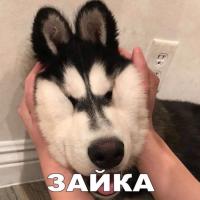 ☺️Яна ☺️