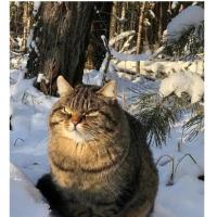 Эмилия 
