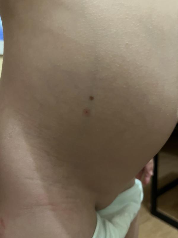 post image 4