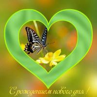 Раушан Ерболатова
