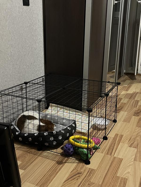 post image 5