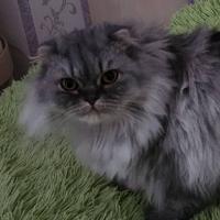 Елизавета 