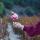 ahmaduyasmin0203