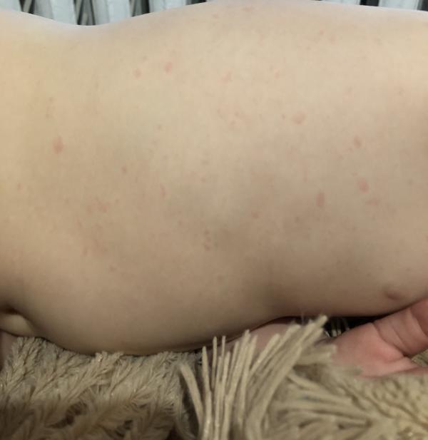 post image 3