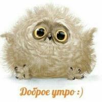 Ольга Истомина
