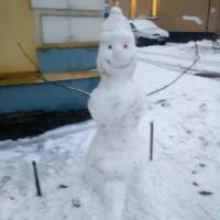 Трифонова Дарья