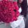 natal_sh2428