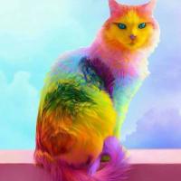 KattyS