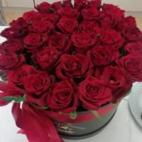 Асель