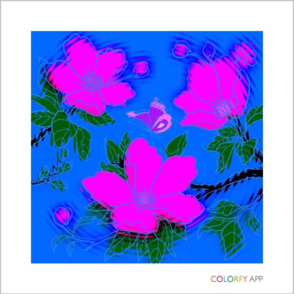 post image 5
