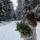 evgenia.tmn