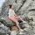 dasha_10.03