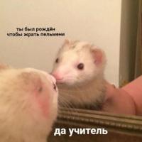 Анастасия