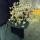 bint_yunus