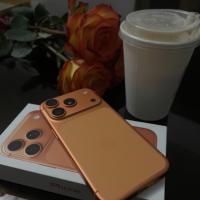 The Dementor's Diary