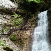 Замира Дадаева