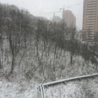 Ника
