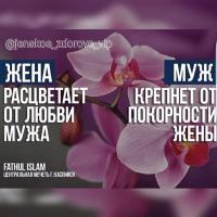 Эльмира Х.