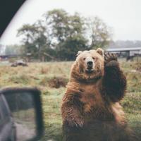 виноградинка