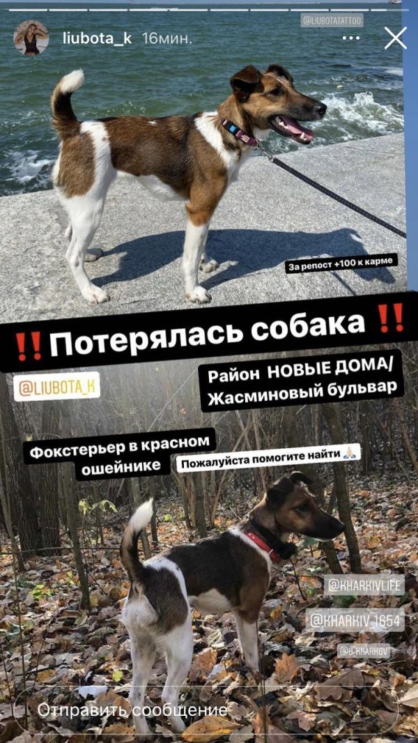 post image