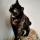 asya_cat