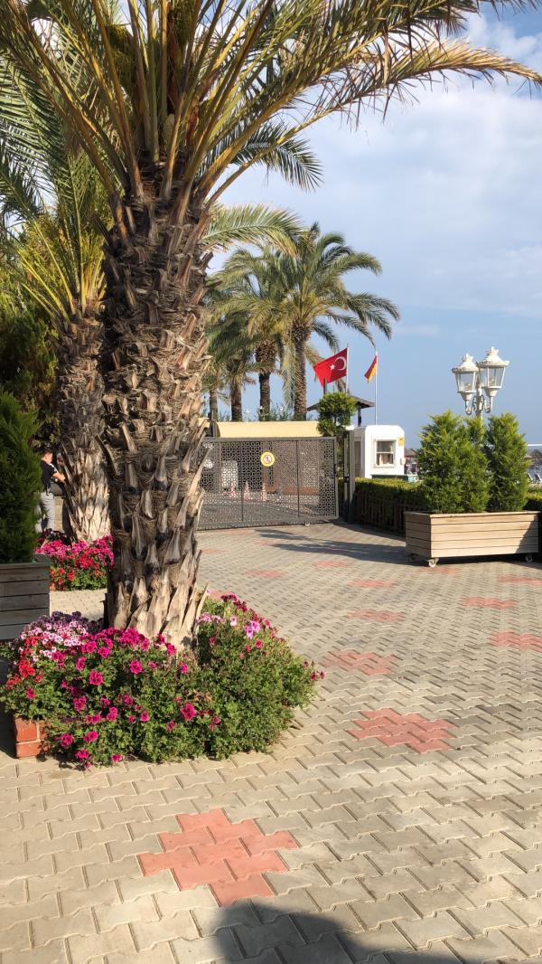 post image 5