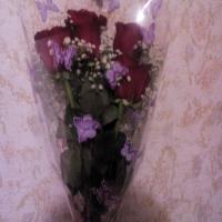 Мария Терентьева