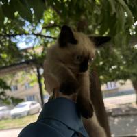 Ирс,аьтто Аллахер Бу🌺❤️