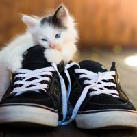 ЧуДо_ф_КеДаХ"bb"