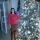 anna2208