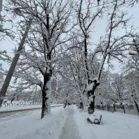 Евгения