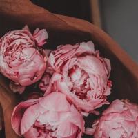 🥀