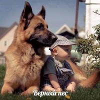 Замира