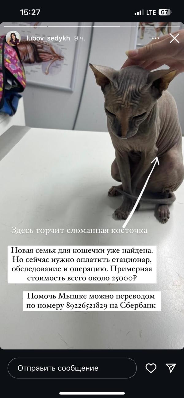 post image 3
