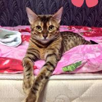 Алина Митюкова 