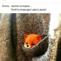 Фатима