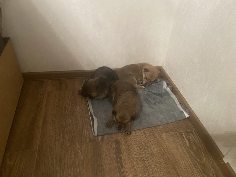 post image 4